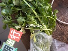 -上海都市菜园