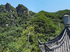 -王顺山国家森林公园