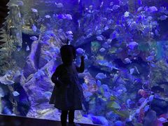 -太平洋海底世界