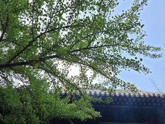 -红螺寺