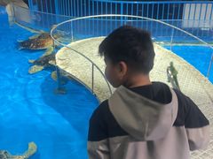 -泉城欧乐堡海洋极地世界