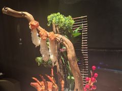 -蟹犇前•帝王蟹雪蟹(陆家嘴店)