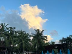 -三亚海棠湾万丽度假酒店