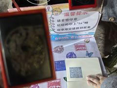 -上海大自然野生昆虫馆(东方明珠·爬宠昆虫探索中心)