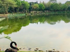 -南宁荔园维景国际酒店·荔园中餐厅
