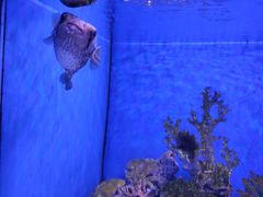 -多彩贵州城极地海洋世界