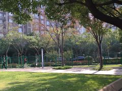 -新江湾城公园