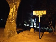 -武汉大学-樱园