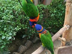 -南宫五洲植物乐园