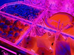 -轩 SUPER LIVE 超级现场(农科路店)