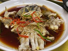 冷水鱼-煲来饱去冷水鱼