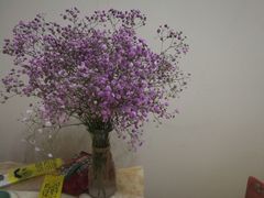 -三圣花乡旅游区