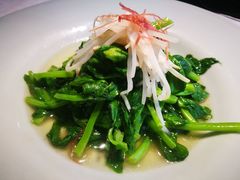火丝银芽豆苗-江南雅厨(李公堤店)