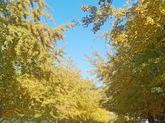 -辽宁大学(崇山校区)