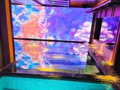 -浅深(北京北四环精品店)
