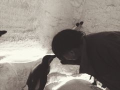 iphone_upload_pic-蠡湖大桥公园
