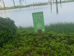 -石湖景区