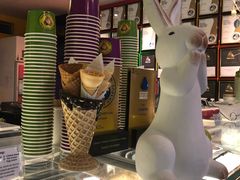 -Dooley's Premium Ice Cream