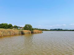 景点-华侨城湿地公园