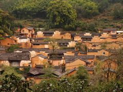 -杨家堂村