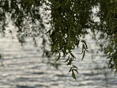 -丽江泸沽湖景区