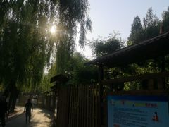 -黄村公园