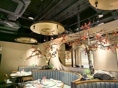 -佬肥猫(国华广场店)