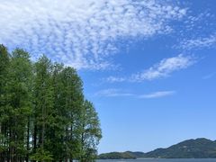 -四明湖