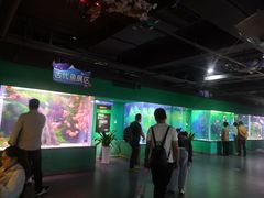-常州海昌海洋探索馆