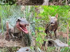 -呀路古热带植物园