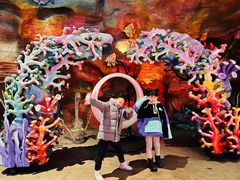 -青岛嘉年华主题乐园