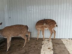 -昆明动物园