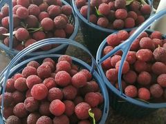 -长兴慧子土特产茶行