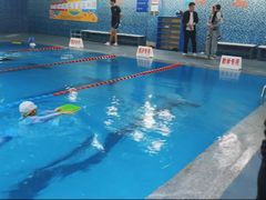 -阳光国际游泳培训基地