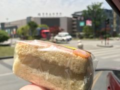 -桐乡市屠甸山山休闲食品厂