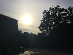 -名古屋城