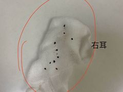 -美联众合动物医院·24h转诊中心