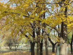 -国家植物园南园