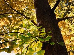 -长春市南湖公园