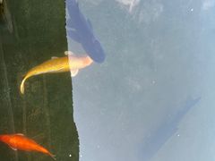 -杭州植物园