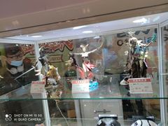 -东浩兰生上海世博展览馆