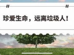 -小伙伴宠物医院•急重症转诊中心·老年专科·犬猫全科(北大街总院)