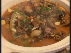 荆沙甲鱼-龙小海荆沙鸽子店(瑞安街店)
