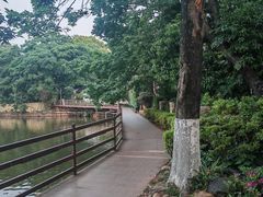 -翠湖公园