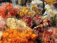 -循礼门鲜花花市(武汉循礼门店)