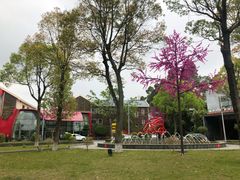 -深圳东部华侨城茵特拉根酒店