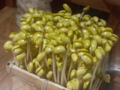 -巴奴毛肚火锅(安阳相州店)