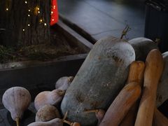 -小小饭店·休闲农庄·安吉松树林里的农家菜