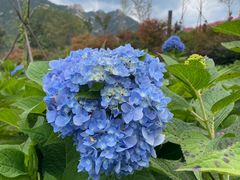 -昆嵛山石门里景区