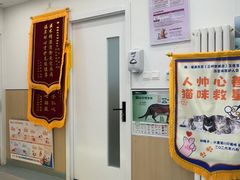 -瑞派·关忠动物医院·猫专科·犬专科(三环新城店)